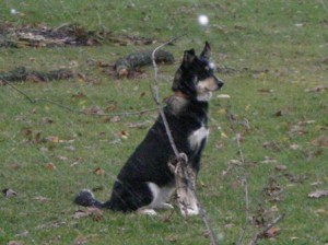 Sascha in the snow flurries