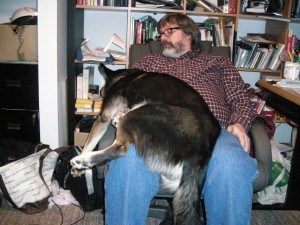 Big lap dog