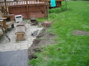 Before flower bed Flower bed area before I transformed it.
