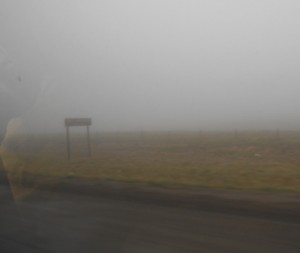 Foggy morning to start