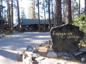 Evergreen Lodge in the Woods