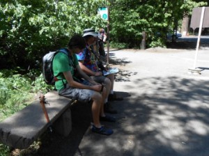 Waiting for the park bus